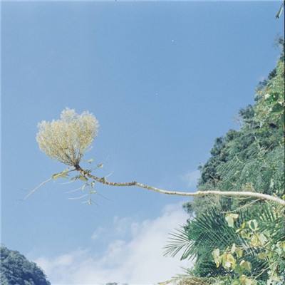 火源战纪手游下载